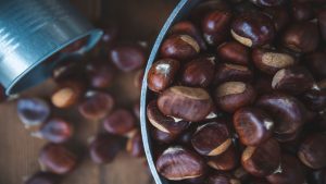 la-sequia-perjudica-la-cosecha-de-castanhas-1920