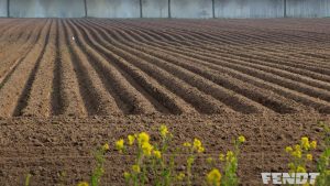 quieres-escuchar-la-noticia-fendtastica-del-invierno-1920