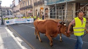 mas-de-trescientos-tractores-marchan-en-demanda-de-soluciones-para-la-ganaderia-de-vacuno-de-carne-1920