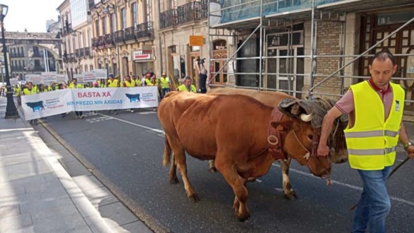 mas-de-trescientos-tractores-marchan-en-demanda-de-soluciones-para-la-ganaderia-de-vacuno-de-carne-1920
