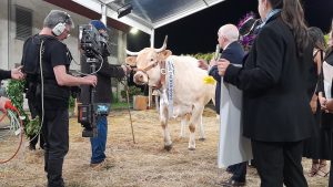 miss-vaca-2023-blanca-de-teo-1920