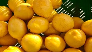 el-sector-agroalimentario-espanhol-aprota-a-la-economia-por-encima-de-la-media-de-europa-1920