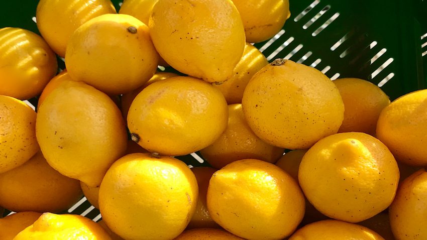 el-sector-agroalimentario-espanhol-aprota-a-la-economia-por-encima-de-la-media-de-europa-1920