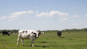 se-autoriza-el-pago-de-120-millones-adicionales-de-la-pac-2023-1920