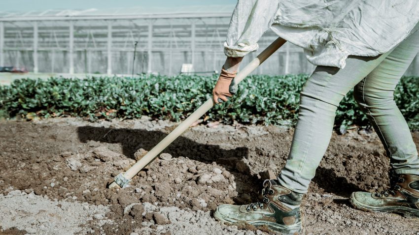 el-huerto-en-diciembre-1920