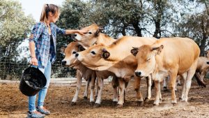 buenas-practicas-y-precauciones-importantes-en-el-manejo-de-las-vacas-1920.jpg