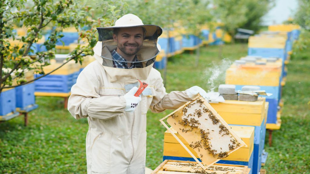ayudas-de-1-29-millones-para-investigacion-apicola-1920.jpg
