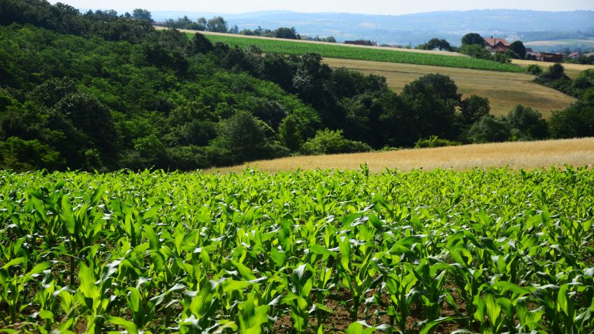 Errores-al-dimensionar-la-maquinaria-de-una-explotacion-1920